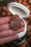 Black Label Baits - The Paste 'Krill' (truly unique)