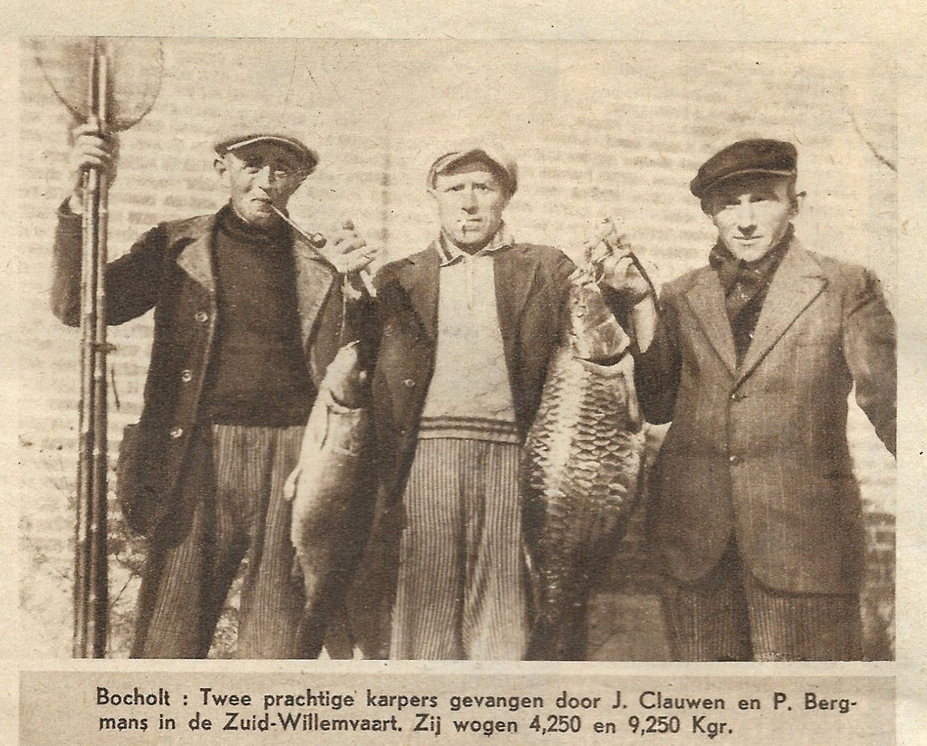 Piece of Belgian carp history from 1940 unearthed