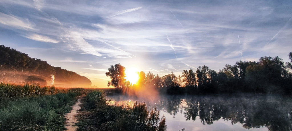 Zonnepaneeldreiging Berlare geweken - bedrijf trekt aanvraag in