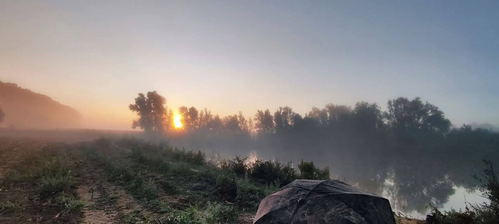 Blancquaertsveld Berlare nu ook bedreigd door zonnepanelen & onbeantwoorde brief aan kabinet Minister