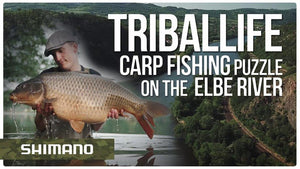 Tribal Life: Carp Fishing puzzle on the Elbe River, Czech Republic