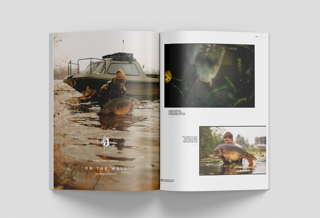 Taking your submissions for the third MC x CARPology On The Wall print collab now