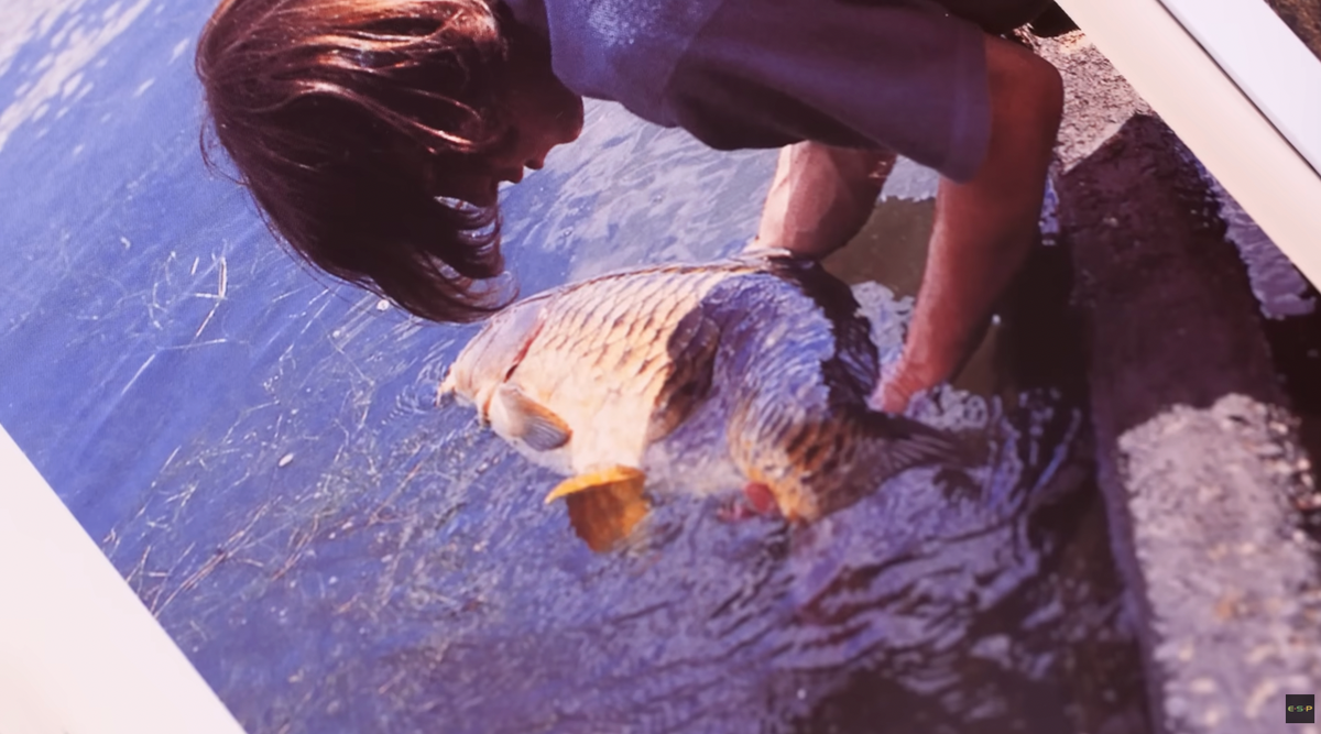 NEW ESP must see: Terry Hearn's Christmas Story | THE ROYAL FORTY ...