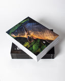 SubSurface I SUBMag Issue 4