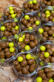 Fort van Bornem '26 Hard Hookbaits & Pop Ups in one I Scopex 001 - Black Pepper - MonkeyMino blend