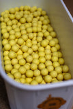 Indian Spice pop ups I Orange or Washed Out Yellow 14/5mm