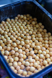 WACFA pop ups I Washed Out Yellow 15mm