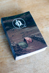 On The Wall Issue #01 - photo and mini zine by Monkey Climber x Carpology (English written)