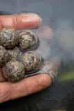 Black Label Baits - Crawling Bug Milk+ Liquid 500ml