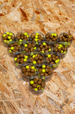 Fort van Bornem '26 Hard Hookbaits & Pop Ups in one I Scopex 001 - Black Pepper - MonkeyMino blend
