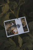 Monkey Climber postcard pack I 4 cards